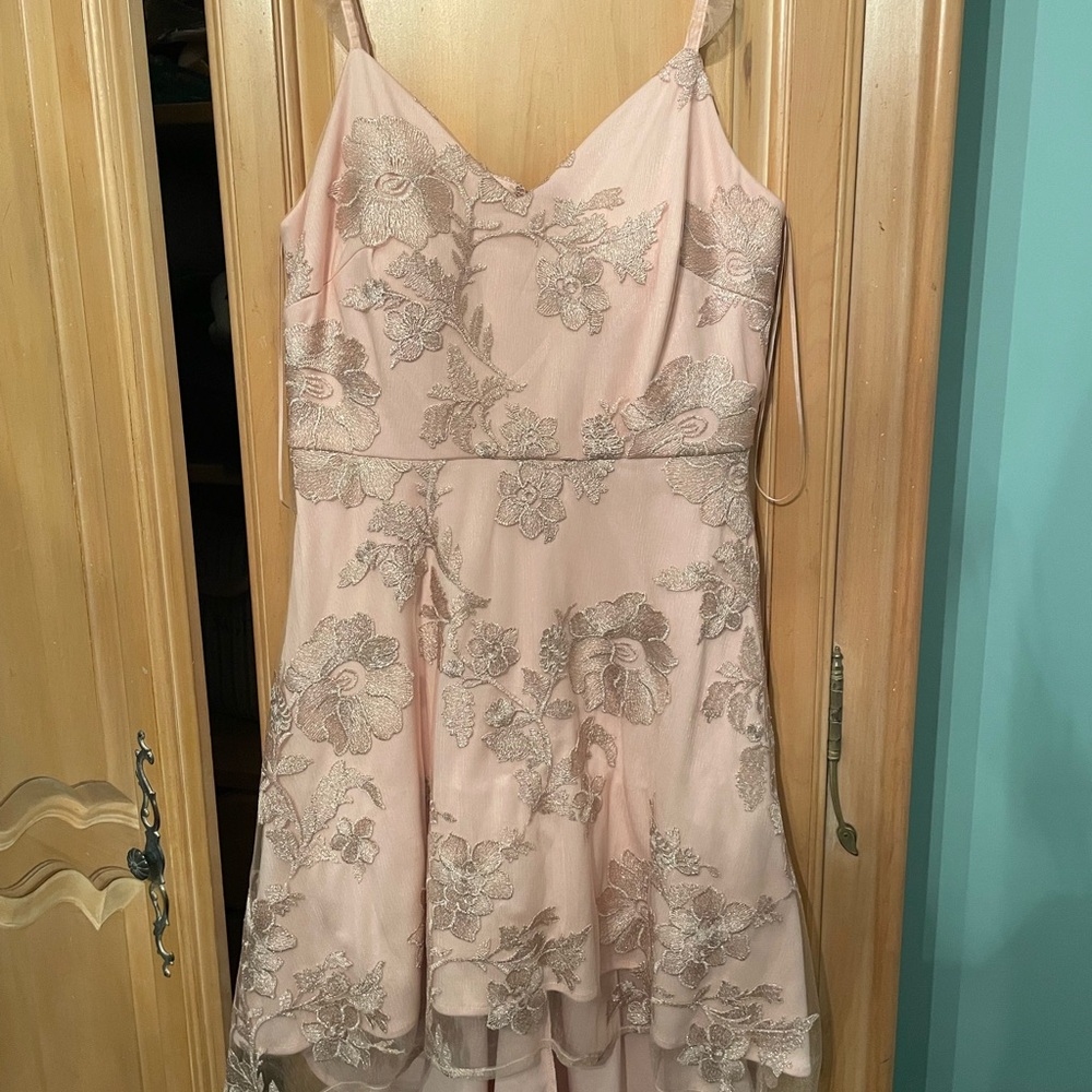 Morgan & Co. Pink Dress with Silver Floral Embroidery